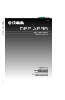 Yamaha DSPA-595 - Owners Manual 